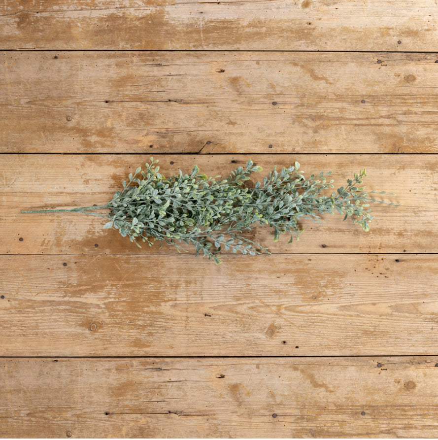 32" English Boxwood Hanging Bush