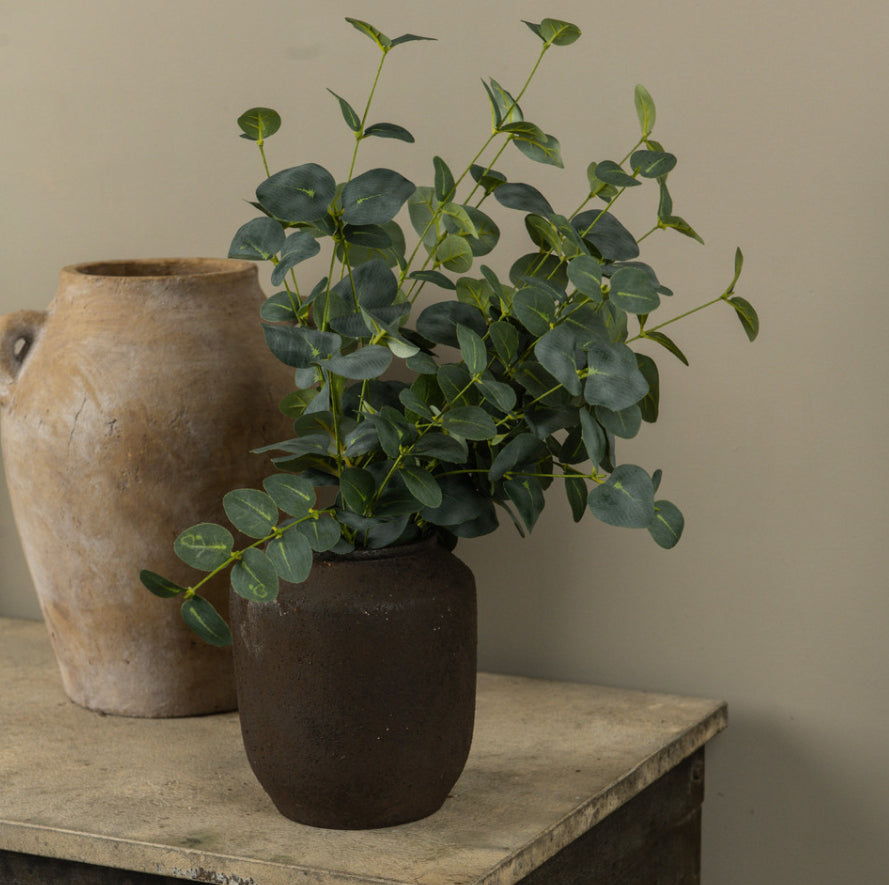 20" Dark Green Eucalyptus Bush