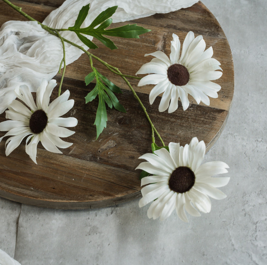 33" Cream Daisy Spray
