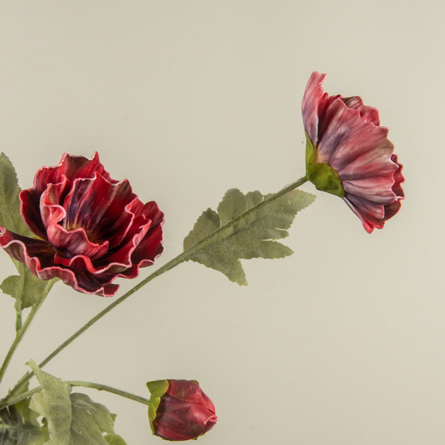 27" Wine Poppy Spray