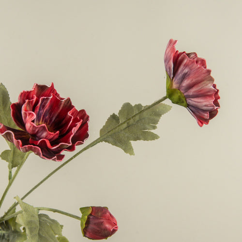 27" Wine Poppy Spray