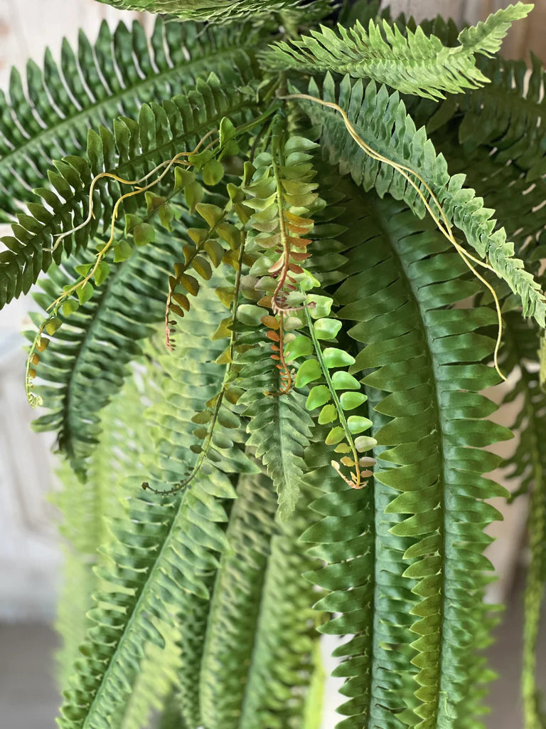 48" Niagara Fern Cascade