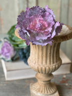10" Finery Cabbage Steam - Dusk