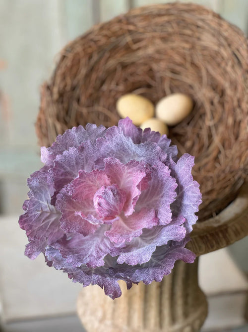 10" Finery Cabbage Steam - Dusk