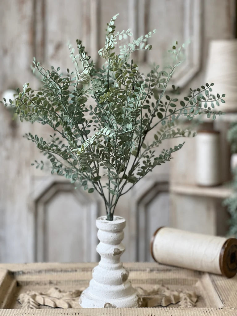 19" Tatler Leaves Bush