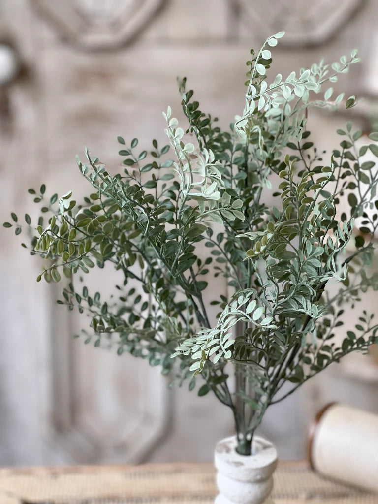 19" Tatler Leaves Bush