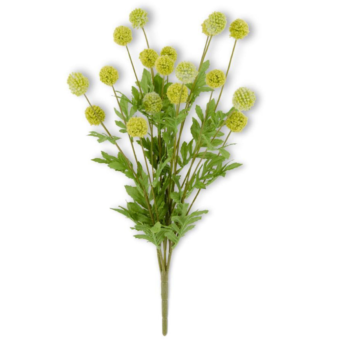 22" Green Mini Allium Bush