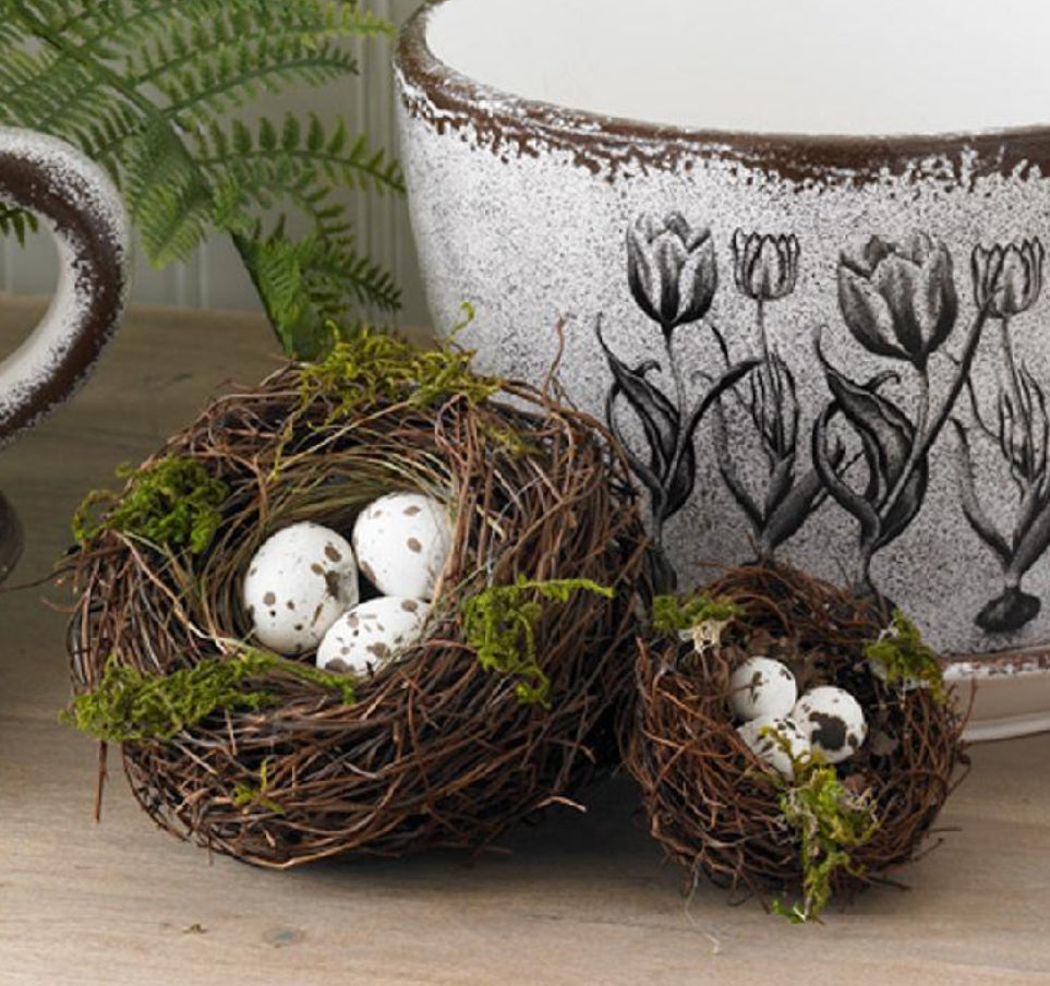 2.5" Mini Nest W/ Eggs