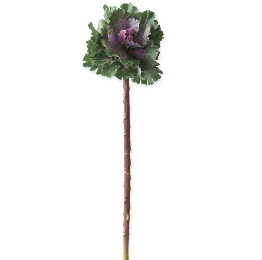 Purple & Green Cabbage Pick