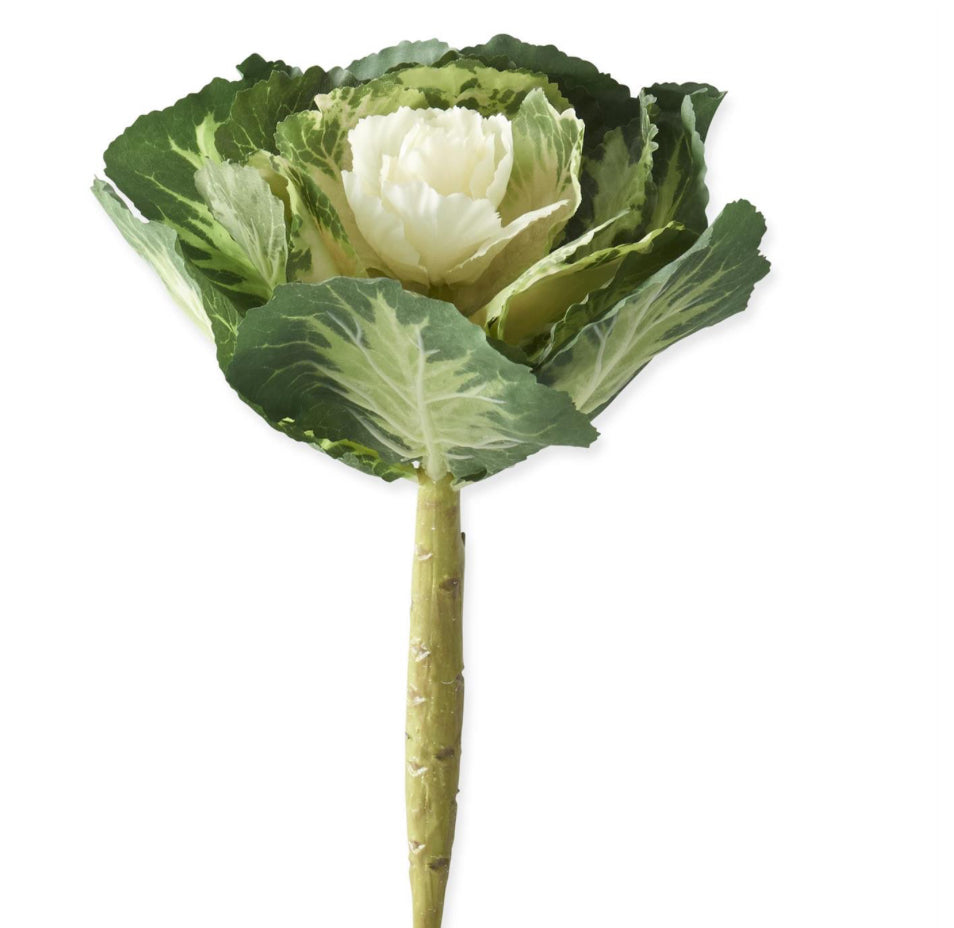 Cream Cabbage Picks