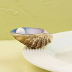 Shuck Yeah! - Oyster Shell Mini
