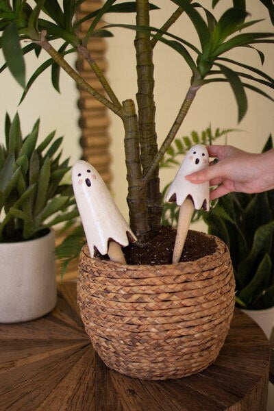 Lg Ceramic Ghost Plant Sticks