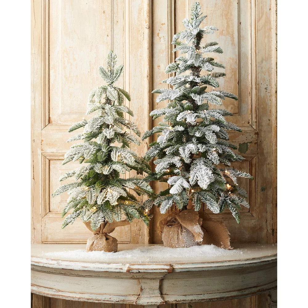 36" Lighted Flocked Pine Tree in Bag