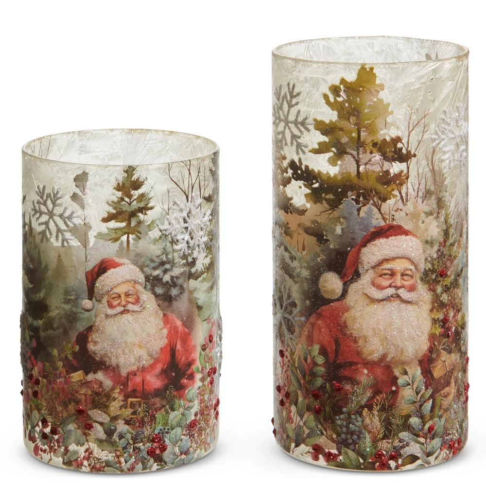 Lg Forest Santa Container