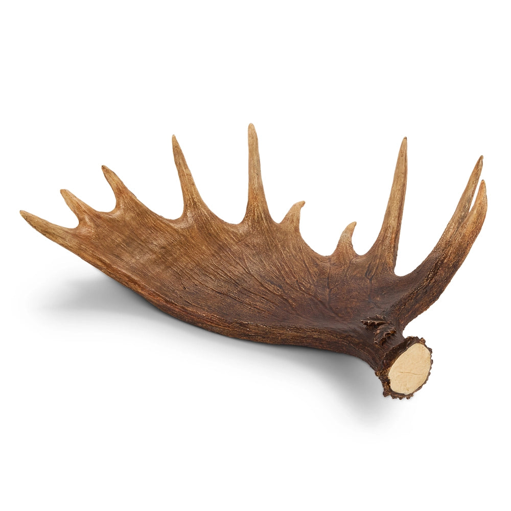 Moose Antler Tray