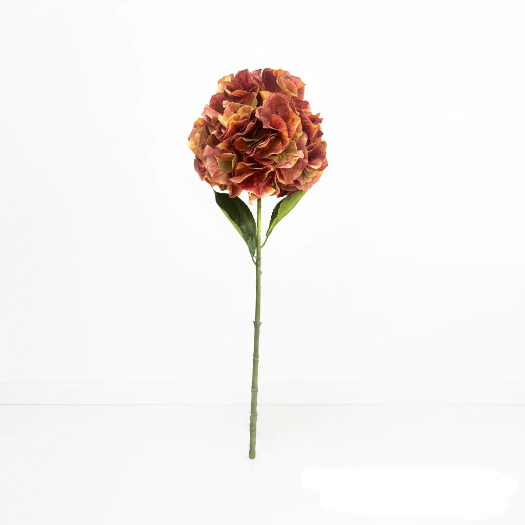 Jardin Hydrangea Stem Rosewood