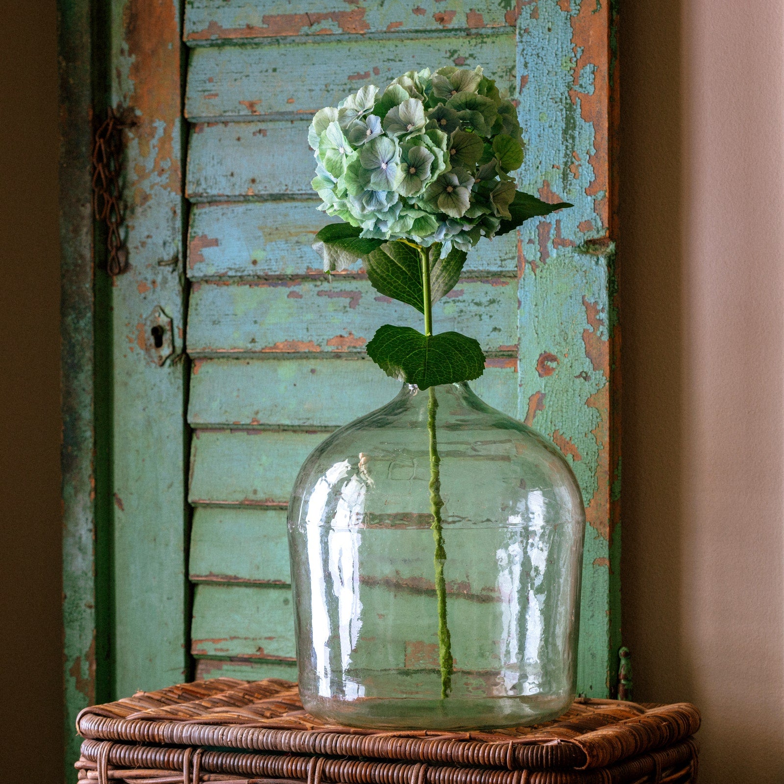 Mason Hydrangea Real Touch Marine