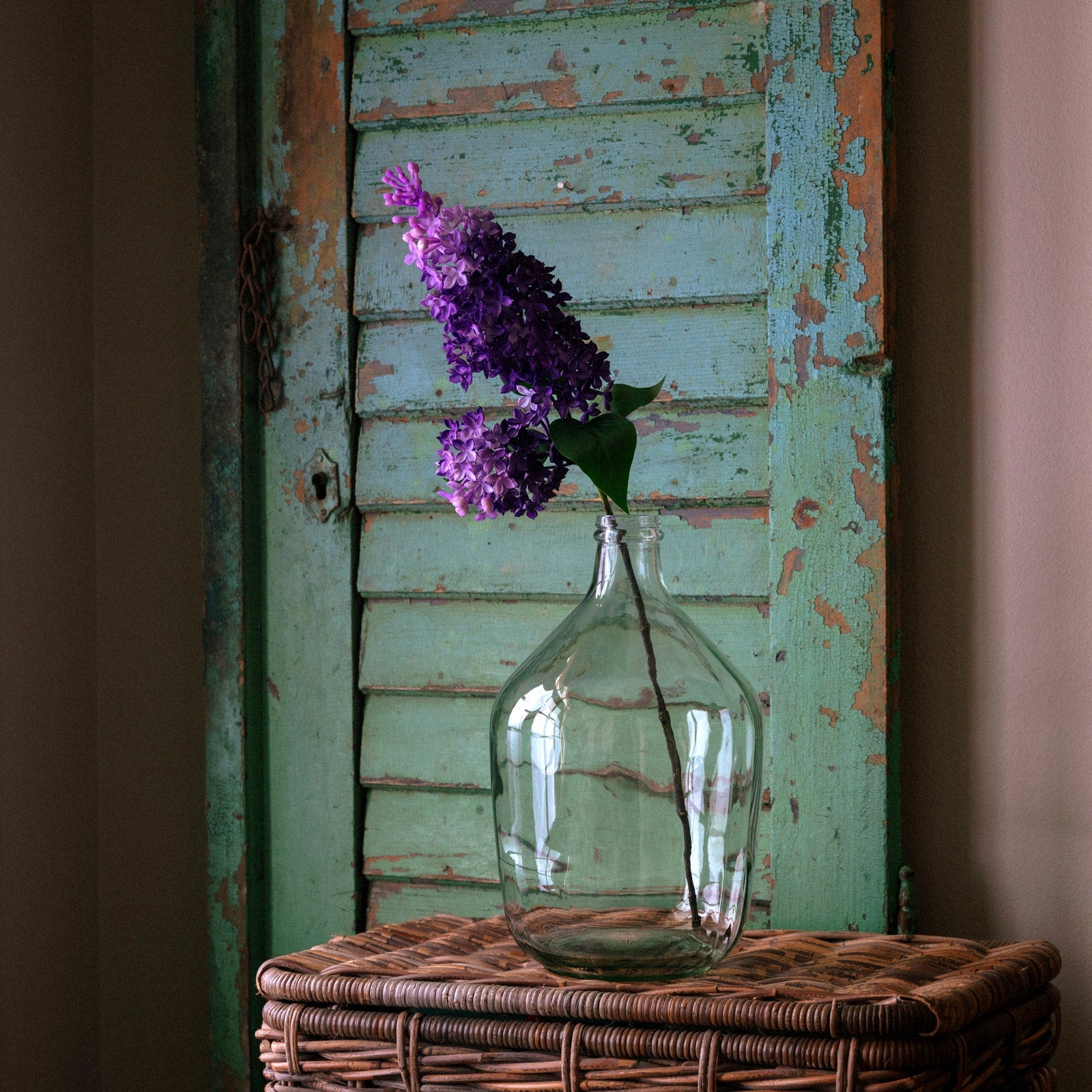 Estate Lilac Real Touch Purple
