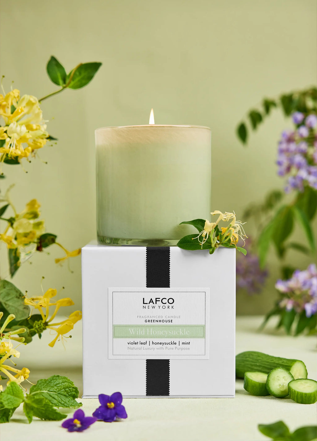 Wild Honeysuckle Signature Candle