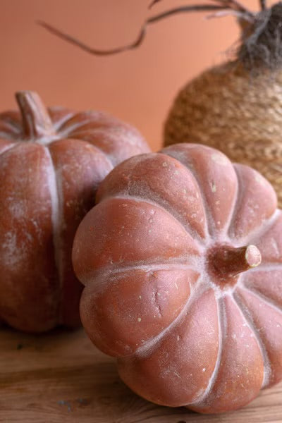 S/2 Paper Mache Pumpkins
