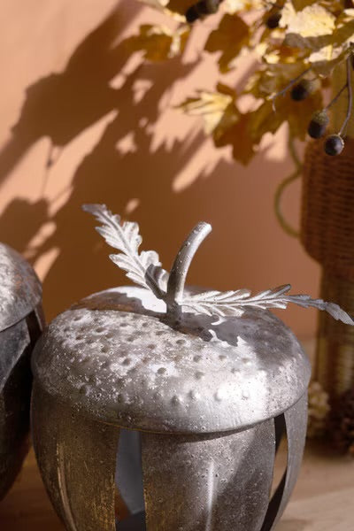 S/2 Rustic Metal Acorn Containers