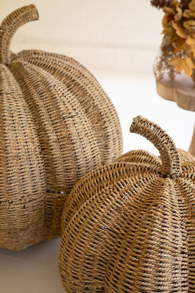 S/2 Giant Seagrass Pumpkins