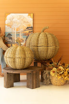 S/2 Giant Seagrass Pumpkins