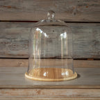 #12 Glass Cloche w/ Wood Base