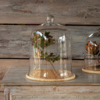 #12 Glass Cloche w/ Wood Base