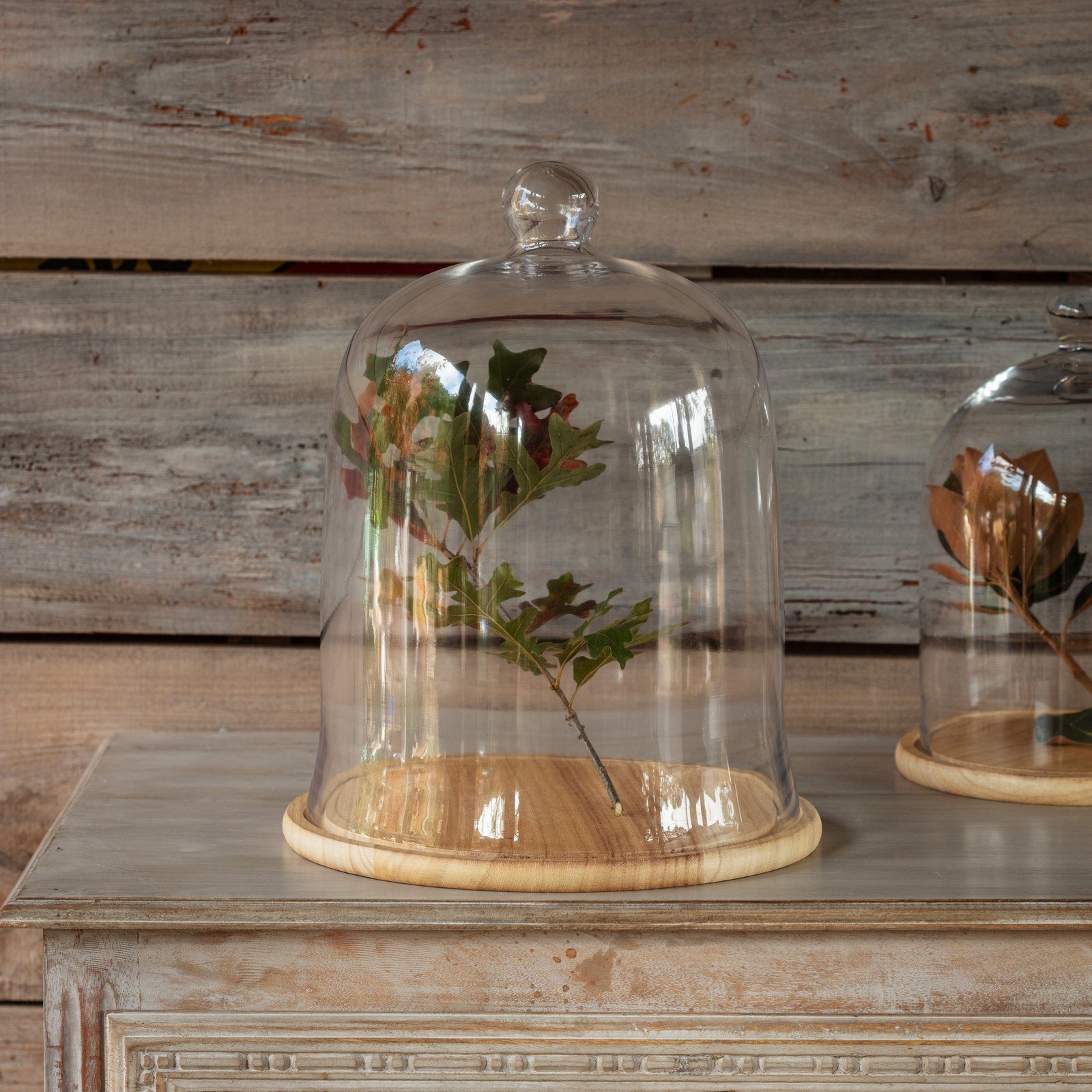 #12 Glass Cloche w/ Wood Base