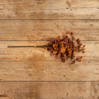 Burnt Orange Eucalyptus Bundle