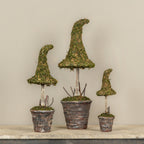 18" Potted Moss Witch's Hat