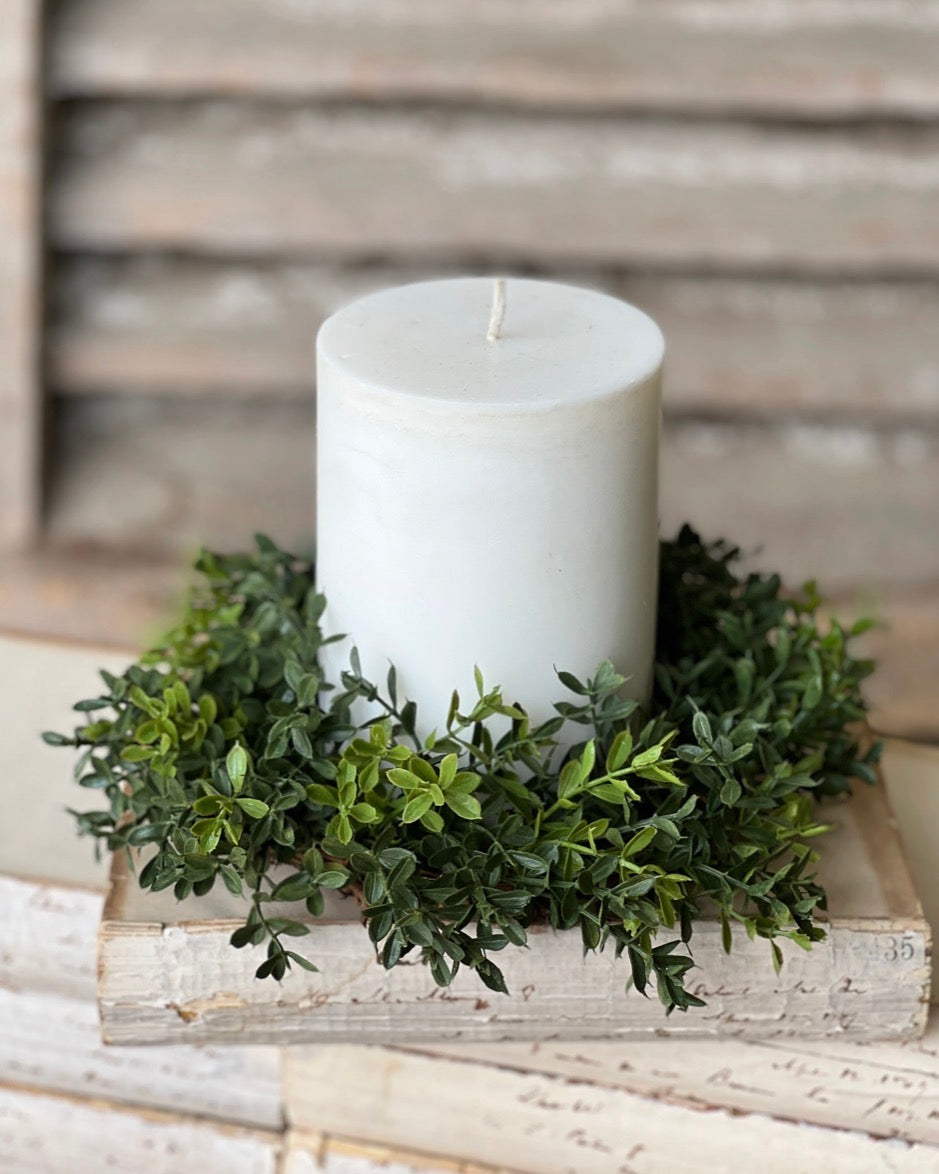 4.5" New England Boxwood CR