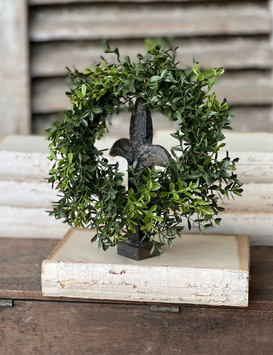4.5" New England Boxwood CR