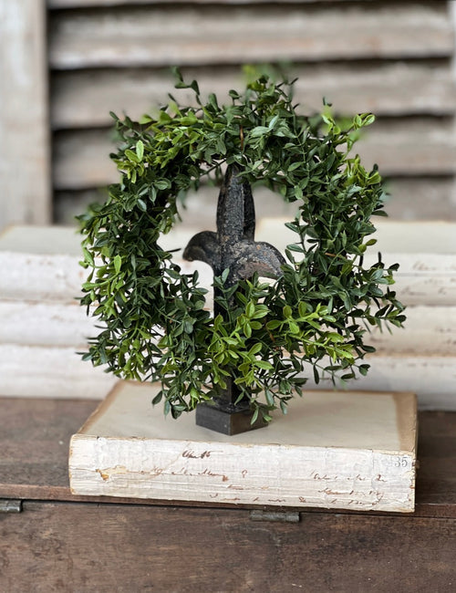 4.5" New England Boxwood CR