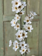 39" Frill Flower Spray - Cream