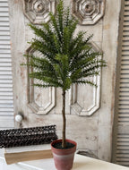 33" Rosemary Topiary