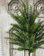 33" Rosemary Topiary