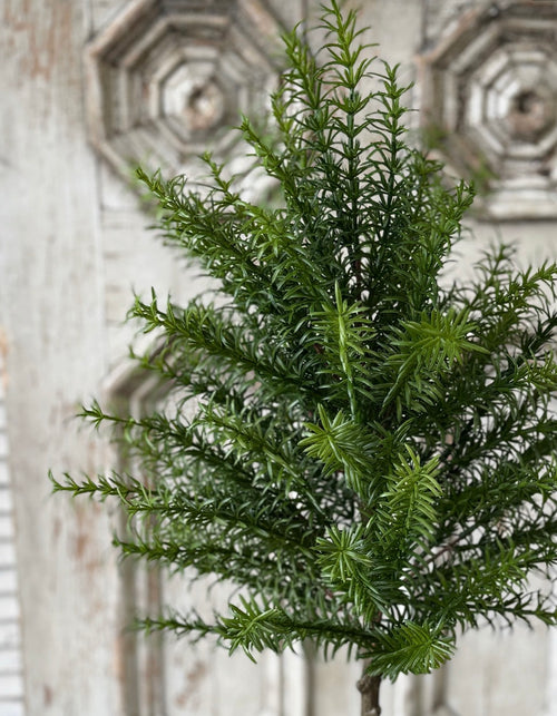 33" Rosemary Topiary