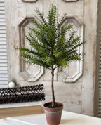 24" Rosemary Topiary