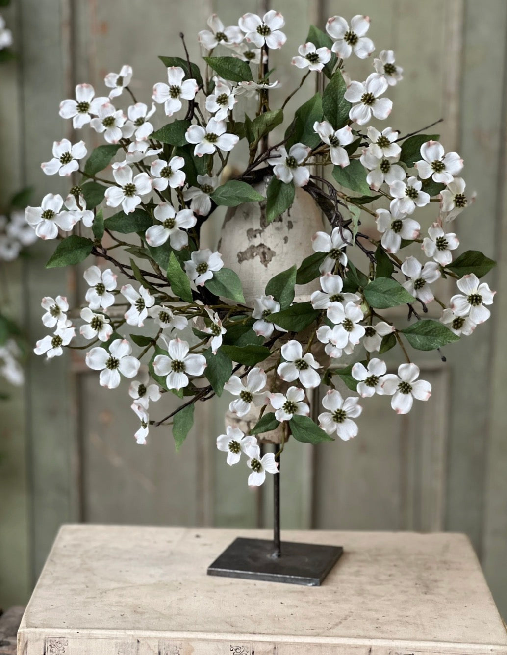 4.25" Dressage Dogwood CR