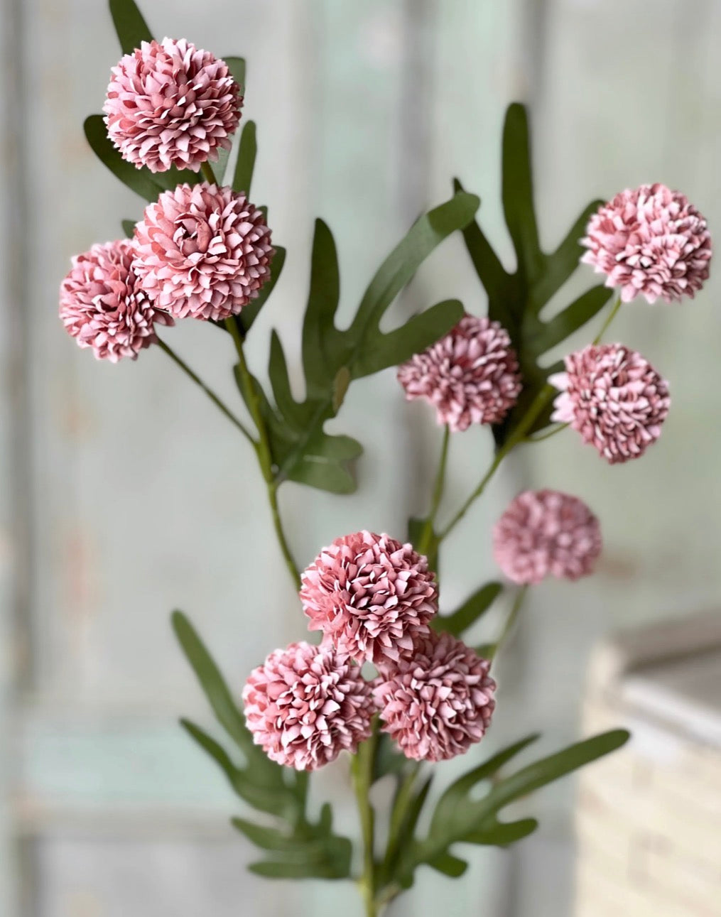 29" Flitter Poms Bush - Rose