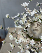 4.5" Villa Blooms CR