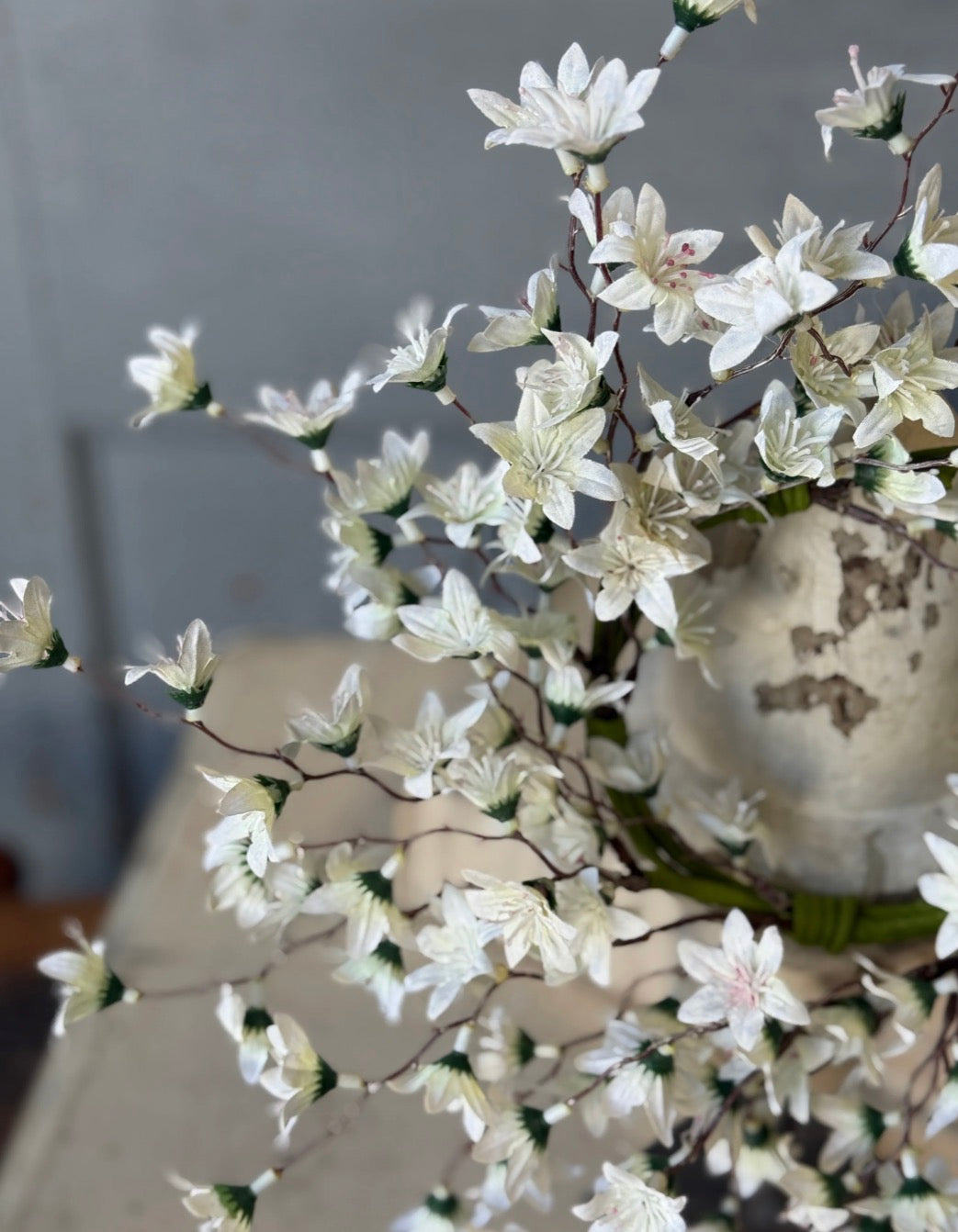 4.5" Villa Blooms CR