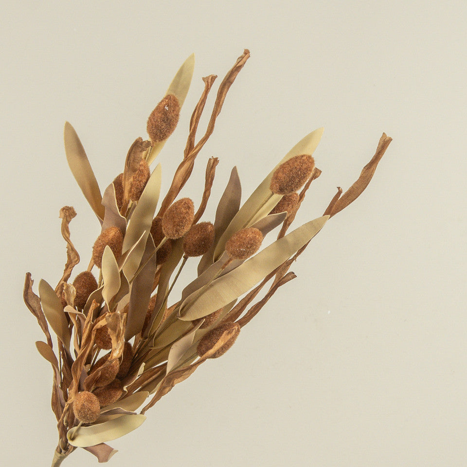 22" Brown Pod Spray