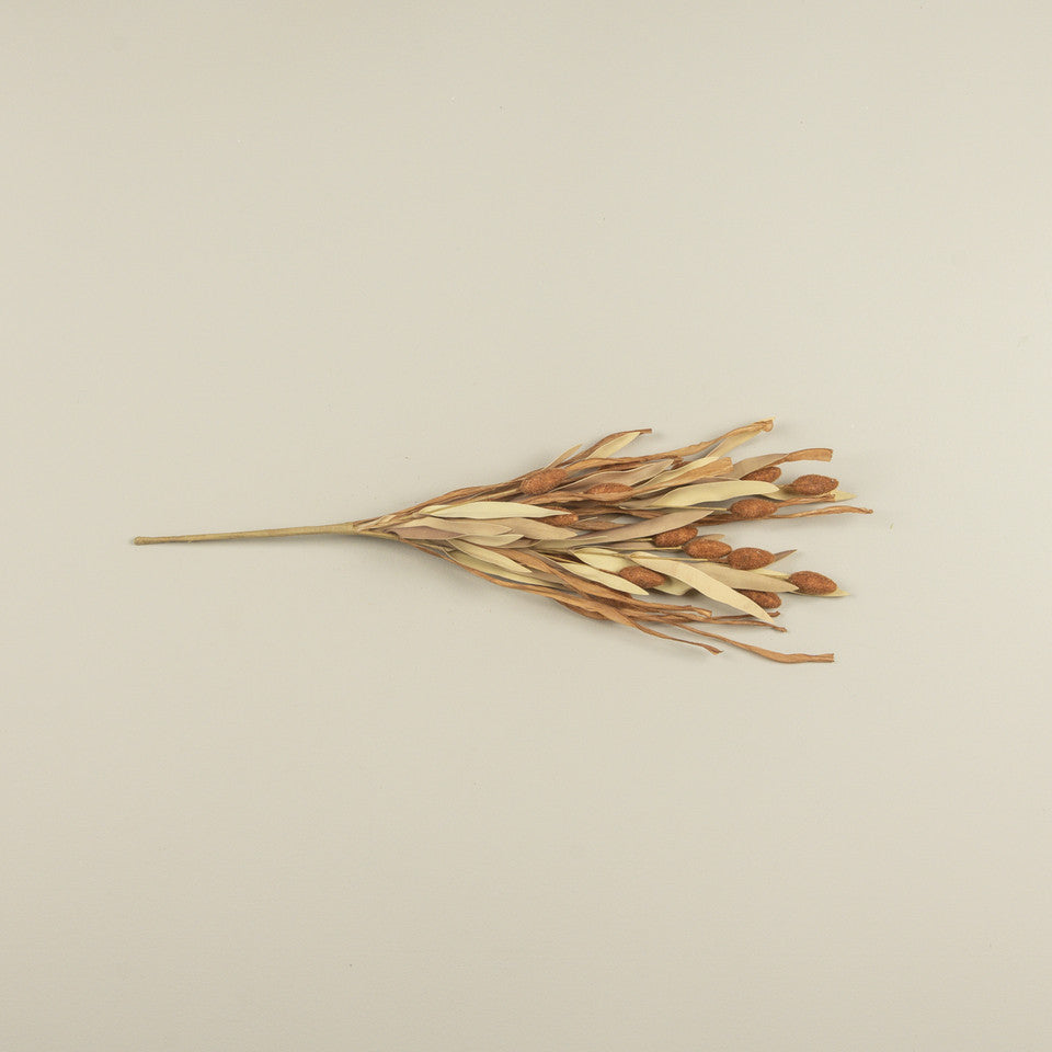 22" Brown Pod Spray