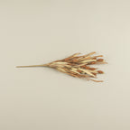 22" Brown Pod Spray