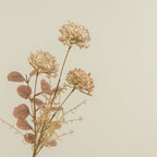 20" Dusty Cream Wildflower Spray