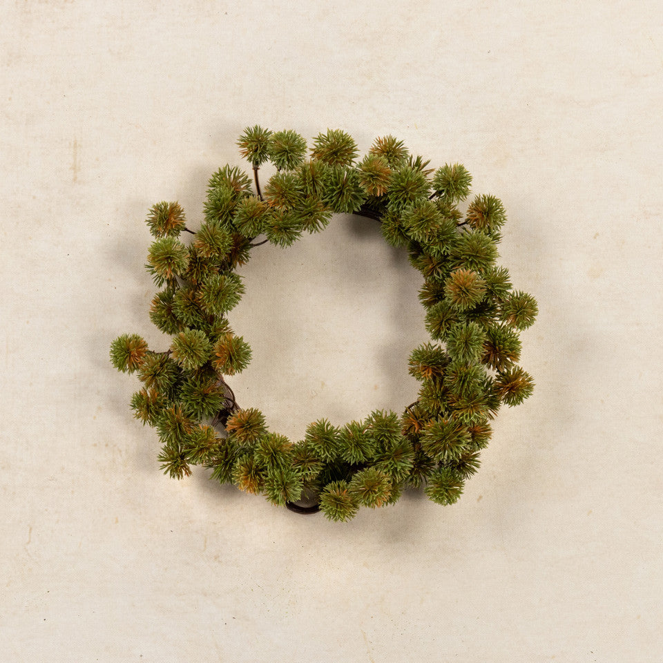 10" Green Mini Chestnut Seed CR