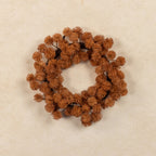 10" Rust Mini Chestnut Seed CR